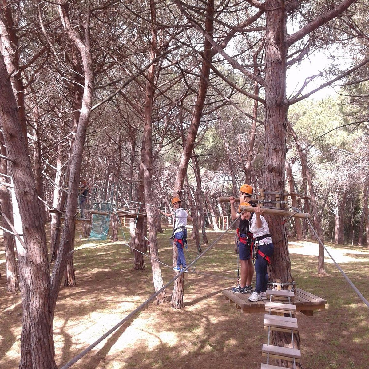 Bosco Isola